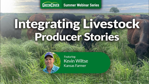 Converting Cropland to Perennials: Kevin Wiltse's System for Better Water Infiltration and Soil Structure