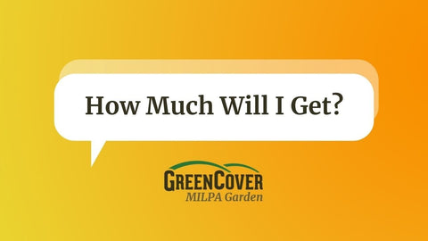 How Much Produce Can You Get From a Milpa Plot?