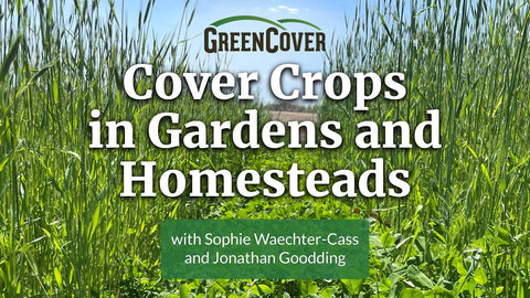 Growing Cover Crops in Home Gardens and Homesteads