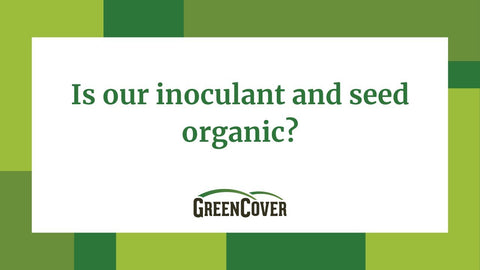 Can You Use Green Cover Seeds if You're Certified Organic?