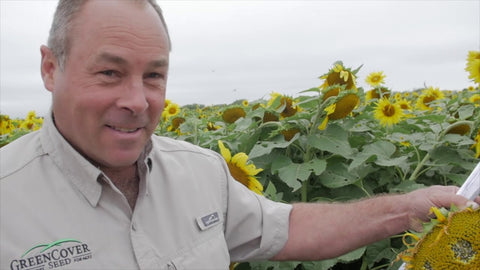 Filling the Late Spring Planting Gap with Early-Season Forages
