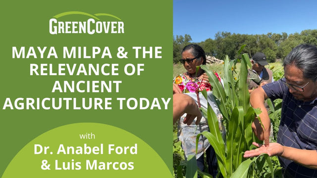 Maya Milpa: Ancient Wisdom for Modern Farms
