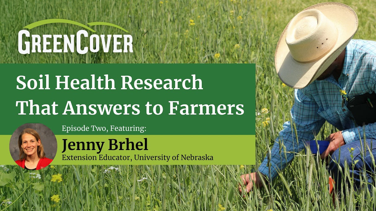 On-Farm Research: Testing Cover Crops and Practices on Your Own Fields