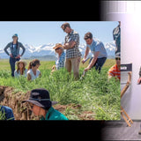 Bringing Biology Back to Soil: A Revolution in Agriculture