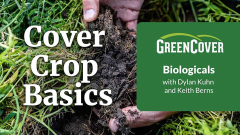 Understanding Soil Biology: What Lives in Your Soil and Why It Matters