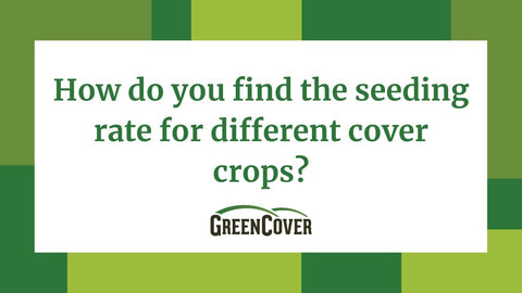 How to Find and Set Seeding Rates for Cover Crops