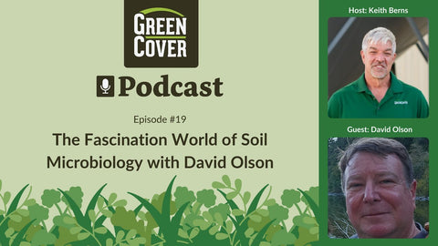 How Soil Microbes Fix Nitrogen and Build Crop Resilience