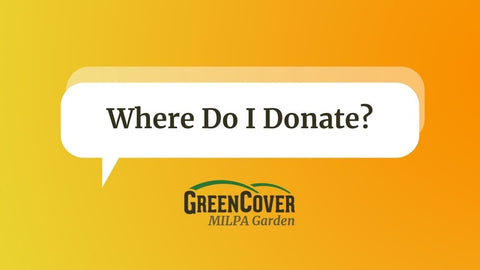 Where to Donate Your Milpa Harvest: Community Ideas That Work