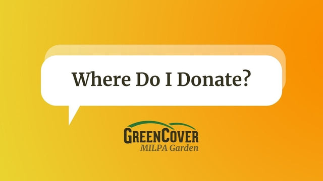 Where to Donate Your Milpa Harvest: Community Ideas That Work