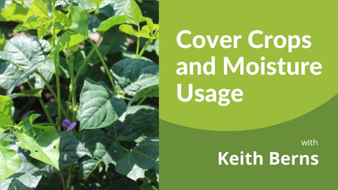 Do Cover Crops Use Up Your Moisture? What the Data Shows