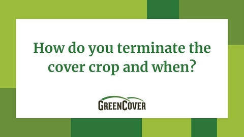 When and How to Terminate Your Cover Crop