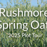 Rushmore Spring Oats: A Dual-Purpose Cover Crop for Spring Grazing and Forage