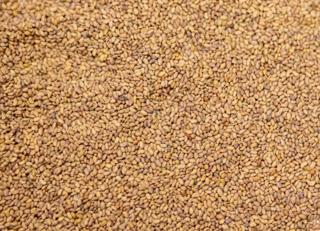 Alfalfa (MVS 4220Q) - OMRI Inoculated