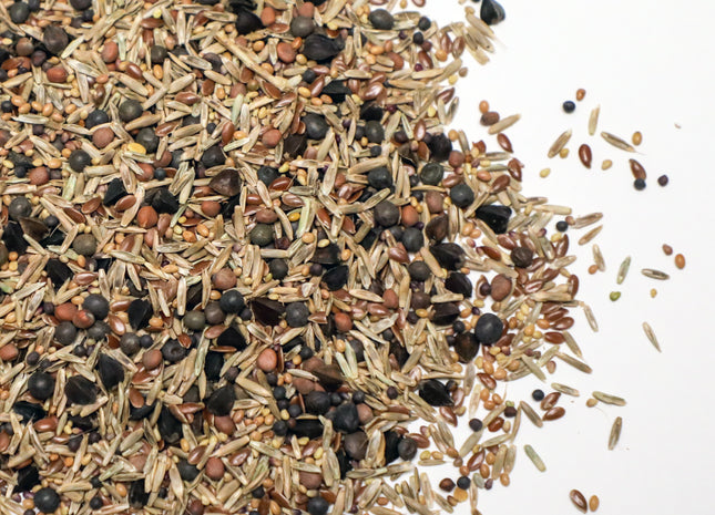 Corn Interseeding Mix (for V3-V6 stage)