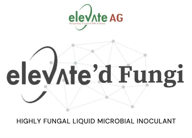 Elevate'd Fungi