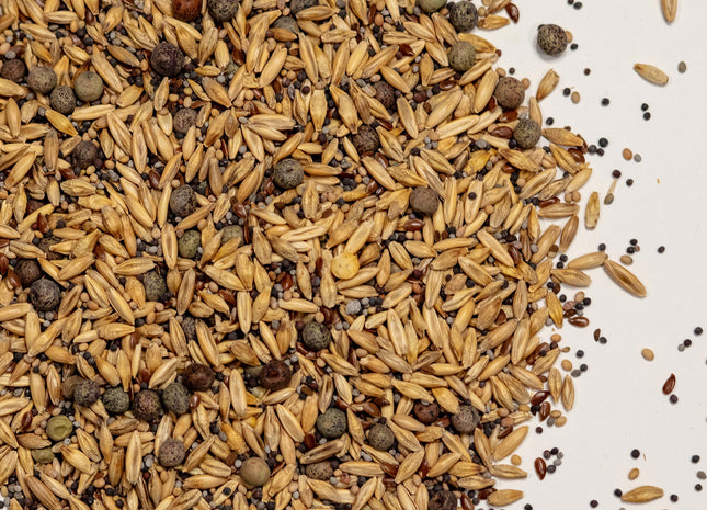 Garden Spring/Fall Mix