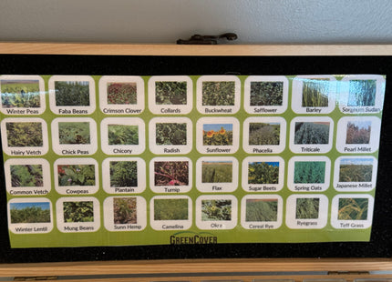 Seed Display Box