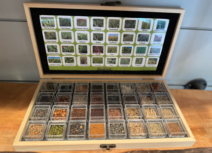 Seed Display Box