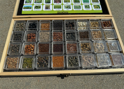 Seed Display Box