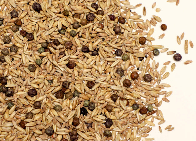 Spring Cattle Builder