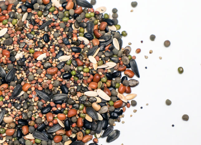 Warm Season Sheep/Goat Grazing Mix