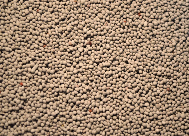 Arrowleaf Clover (Yuchi) - OMRI Inoculated