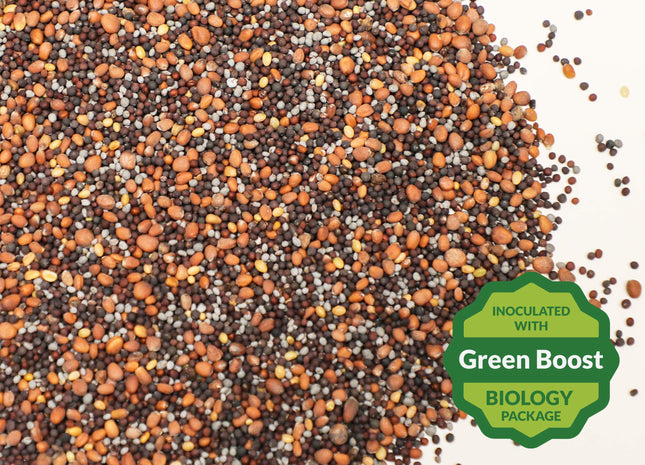 Brassica Plus Release