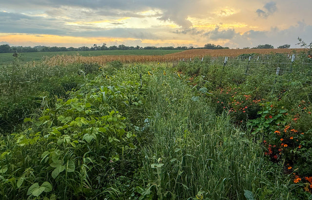 Designed for the Garden