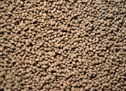 Red Clover (Q Medium) - OMRI Inoculated