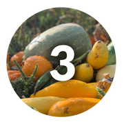 Grow healthy plants that produce healthy food