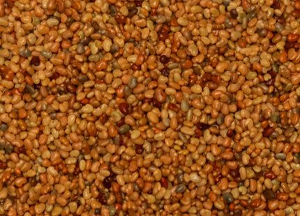 Sunn Hemp (Mini Red)