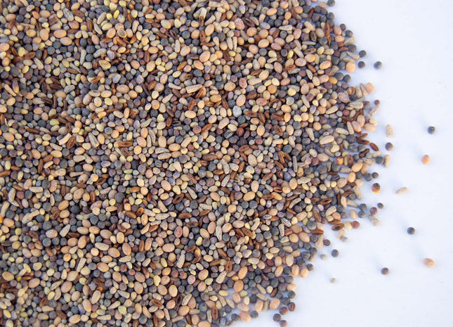 Pasture Frost Seed Mix