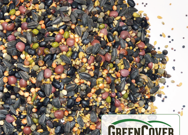 Warm Season Soil Builder