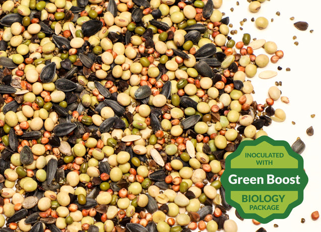 Super Summer Release