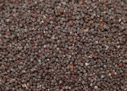 Turnip (Twister Hybrid)