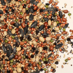 All Purpose Annual Grazing