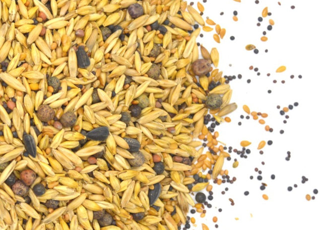 Cool Season Soil Builder