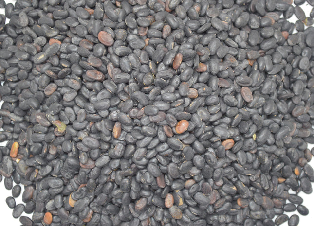 Forage Soybeans (Laredo)