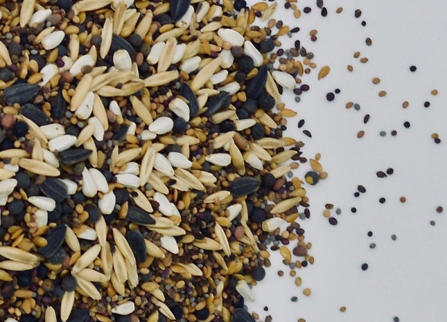 Cool Season Pollinator Mix