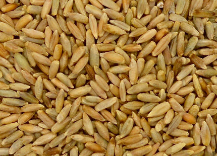 Cereal Rye (Elbon)