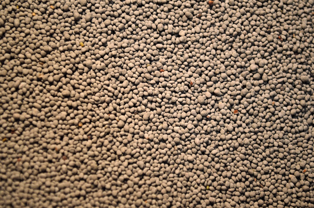 Alsike Clover (OMRI Inoculated)
