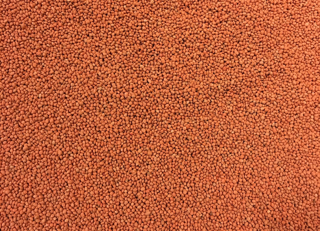 Balansa Clover (Fixation)- OMRI Inoculated