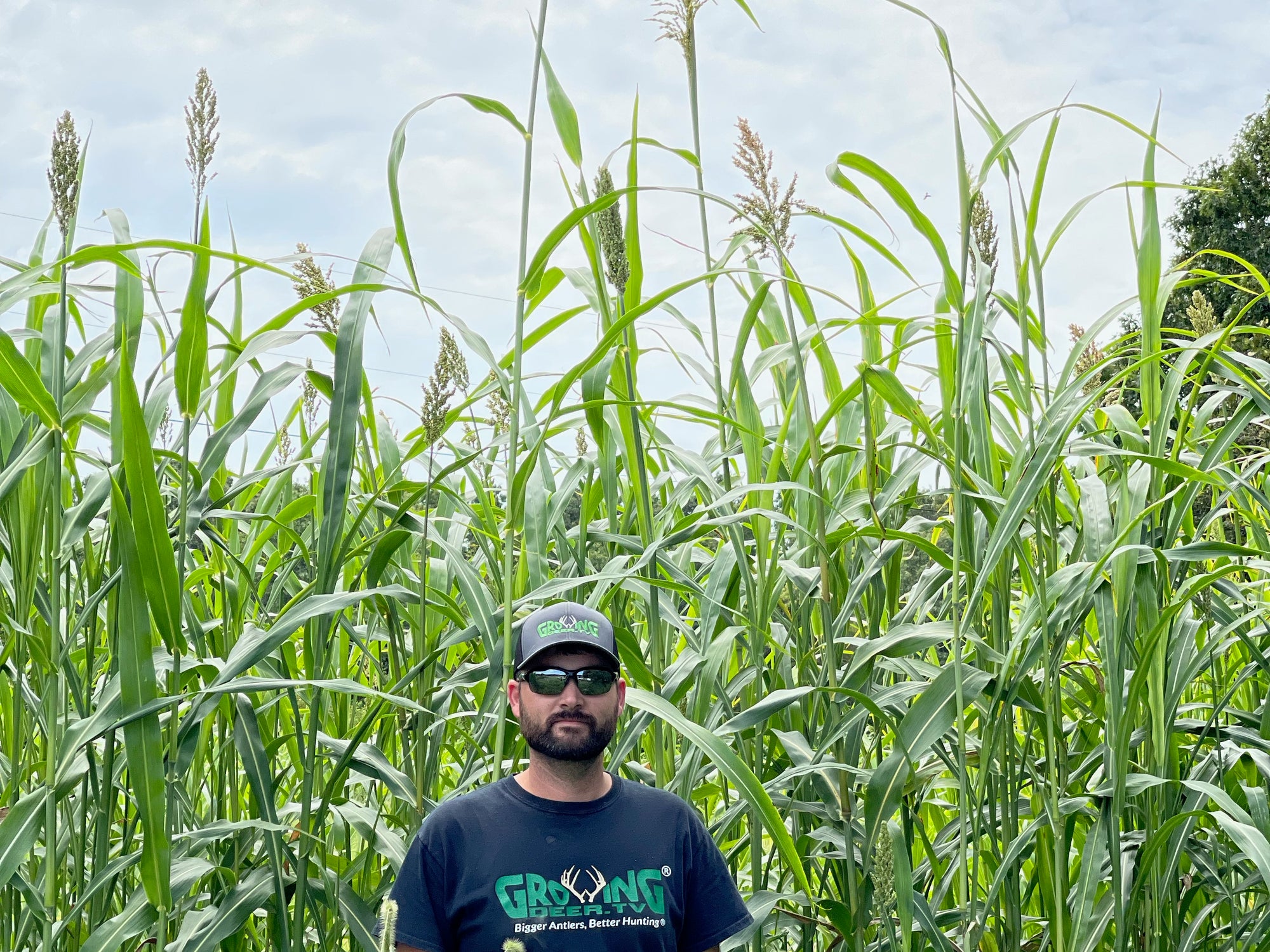 View Blocker Green Cover