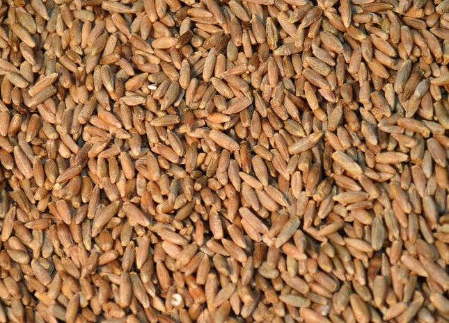 Cereal Rye (Hazlet)