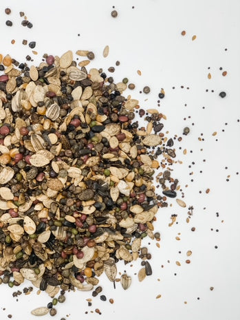 Milpa Garden Warm Season