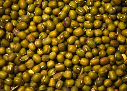 Mung Beans – Green Cover